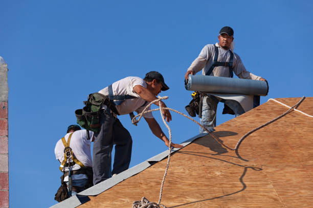 Best Metal Roofing Contractor  in Fort Meade, FL